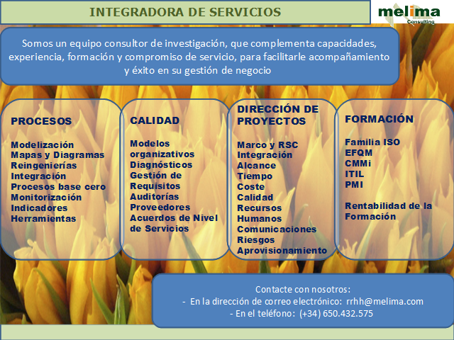 Melima Consulting